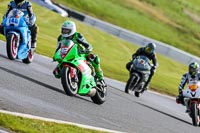 Oulton-Park-14th-March-2020;PJ-Motorsport-Photography-2020;anglesey;brands-hatch;cadwell-park;croft;donington-park;enduro-digital-images;event-digital-images;eventdigitalimages;mallory;no-limits;oulton-park;peter-wileman-photography;racing-digital-images;silverstone;snetterton;trackday-digital-images;trackday-photos;vmcc-banbury-run;welsh-2-day-enduro